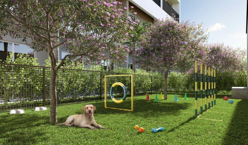 IMA-CONX-VIEIRA_FAZENDA-PET_PLACE-ALTA_Easy-Resize.com_