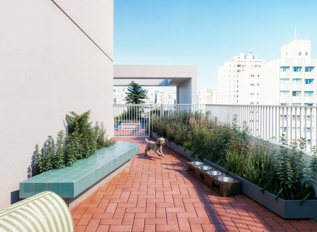 Pet Place_Nurban_R.das Palmeiras